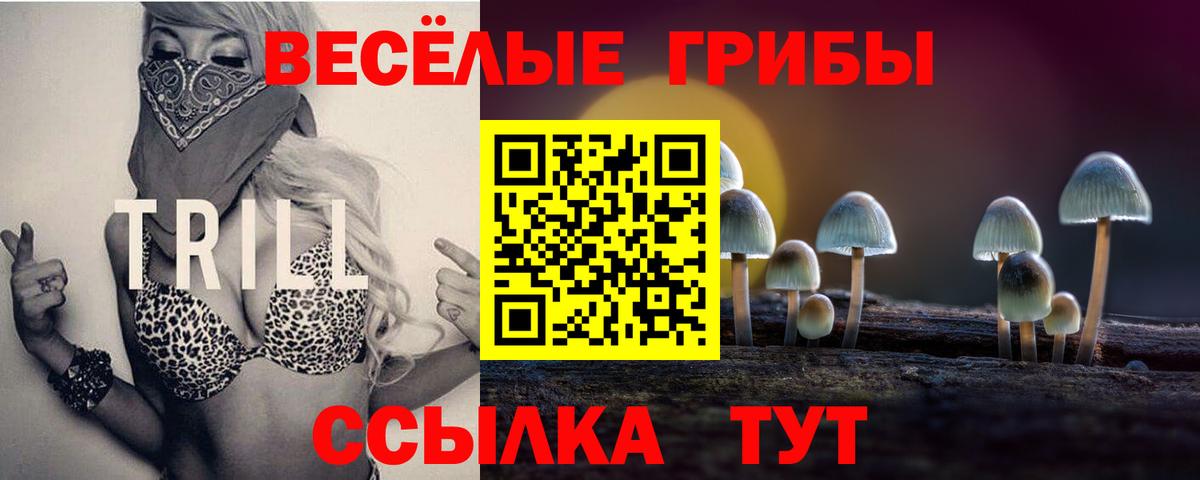 Галлюциногенные грибы ЛСД  Вход с VPN  Галлюциногенные грибы Psilocybine cubensis  купить  сайты  Туапсе 